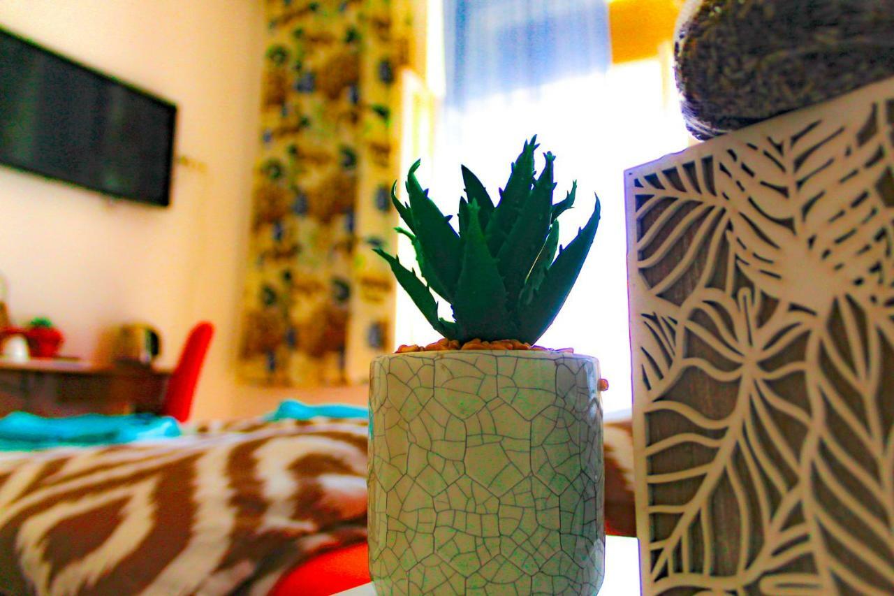 Fluminis Rooms Rijeka Extérieur photo